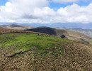 dji 20240802130139 d dji 20240802130139 d
