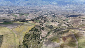 dji 20240802125255 d