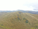 dji dji