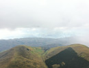 dji dji