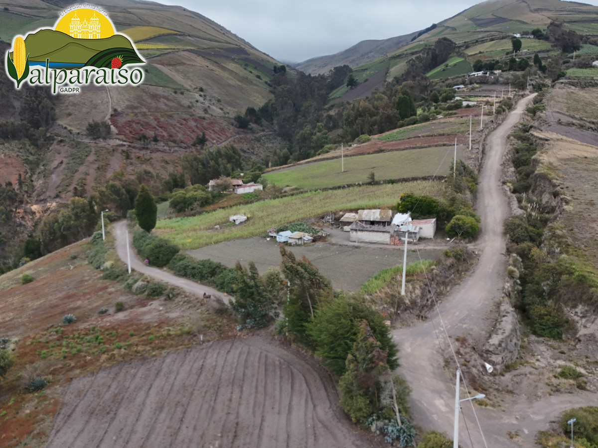 dji 20240802150523 d dji 20240802150523 d