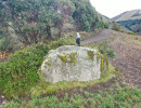 dji dji