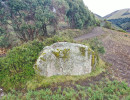 dji dji
